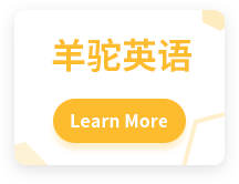 羊驼英语